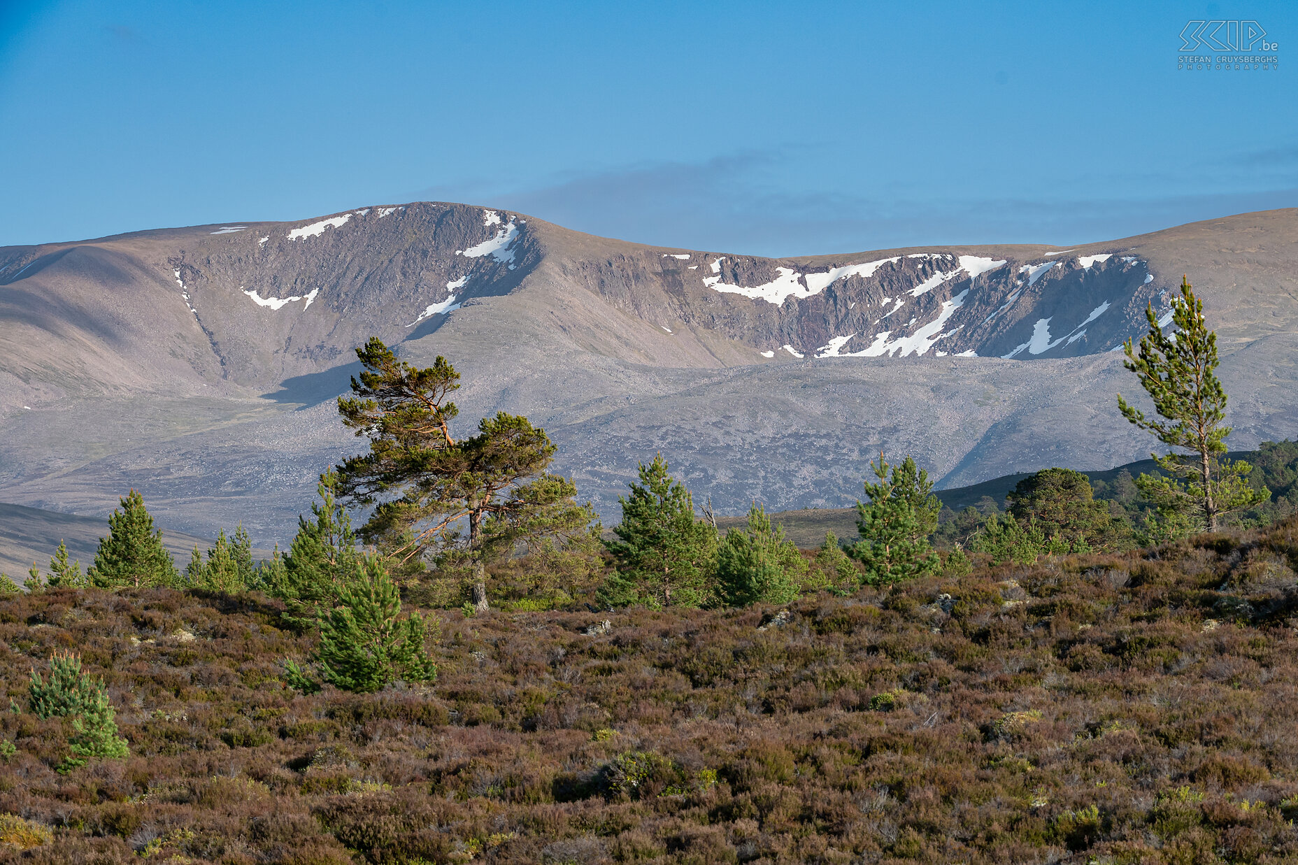 Rothiemurchus  Stefan Cruysberghs